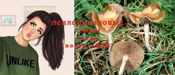 ешки Магас