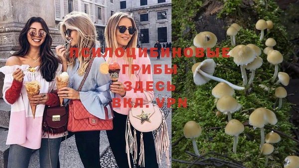 бошки Ступино