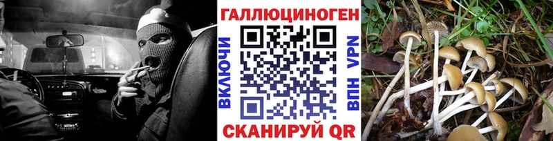 Псилоцибиновые грибы ЛСД  закладка  Донецк 