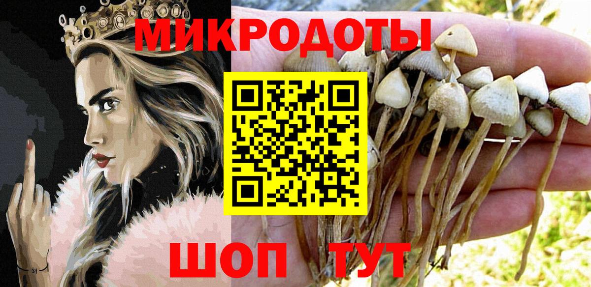 Псилоцибиновые грибы мухоморы  Донецк  Галлюциногенные грибы Psilocybe 