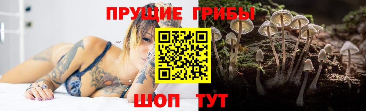 Псилоцибиновые грибы Cubensis  купить наркотики сайты  Донецк  Вход с VPN 